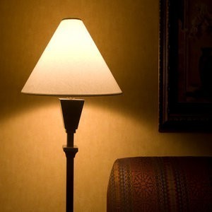  lampshade