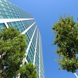  high-rise