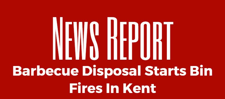 disposable barbecue fires