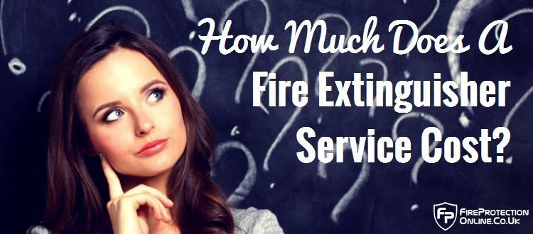 fire extinguisher service cost